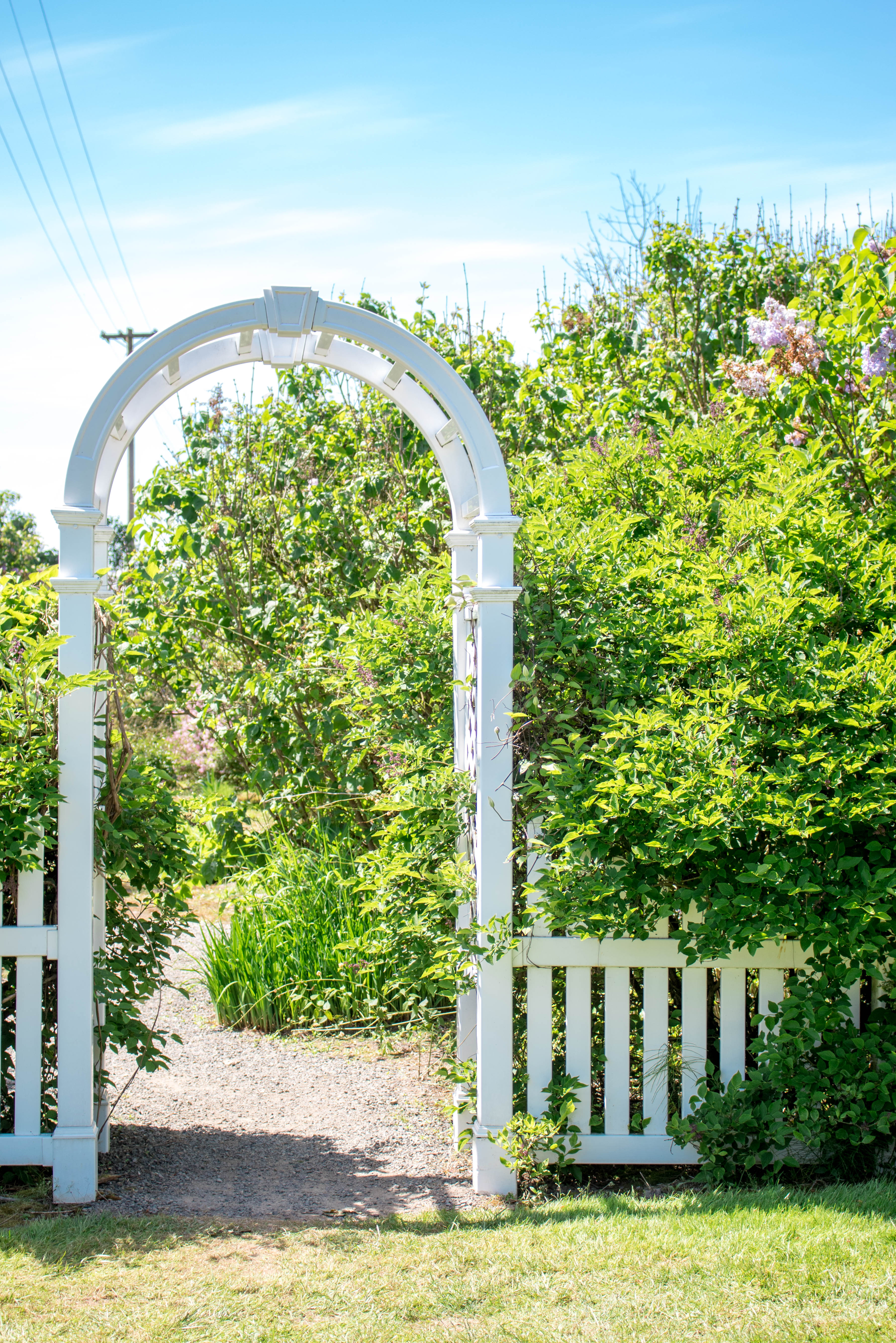 Hulda Klager Lilac Gardens Woodland, WA-HuldaKlagerLilacGardens-Hulda-Klager-Lilac-Gardens-Woodland-WA